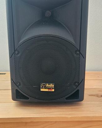 Cassa audio AudioDesign PRO Item PAX2 