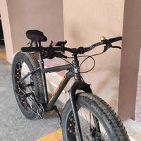 bici fat bike Race Mountain 