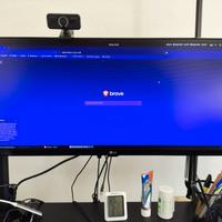 LG Monitor Ultra wide 29UM69G-B