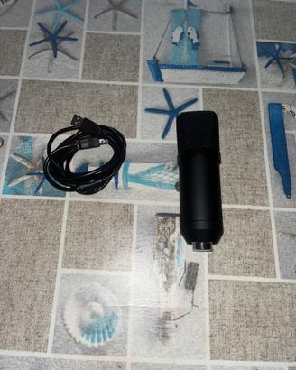 Microfono a condensatore