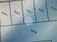 Immagine 13