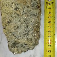 minerali da collezione. Pirite