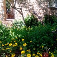 Appartamento in Villa, con giardino e veranda