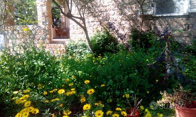 Appartamento in Villa, con giardino e veranda