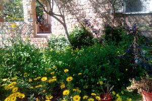 Appartamento in Villa, con giardino e veranda