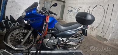 suzuki freewind 650  