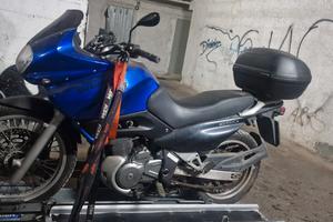 suzuki freewind 650  