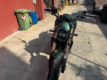 Benelli leoncino 800 anno 2022