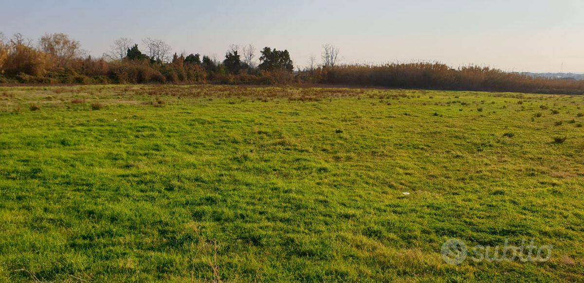 Terreno Agricolo Salerno [c25ca8d3-f562-435a-8VCG] - Vista 4