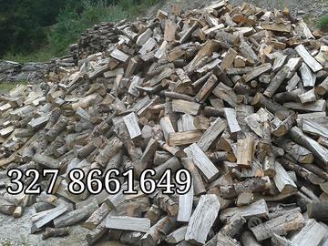 legna secca 