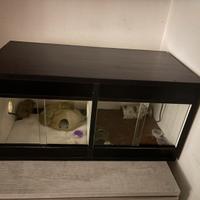 Terrario 70 35 35 diviso