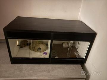 Terrario 70 35 35 diviso