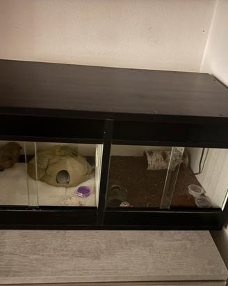 Terrario 70 35 35 diviso