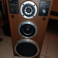 cassa saba acoustic monitor 80