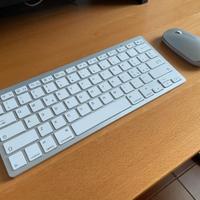 Tastiera e mouse wireless compatibili con iPad