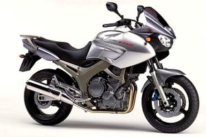 Yamaha TDM 900 - 2003