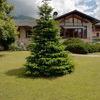 Vacanze primavera estate a levico terme