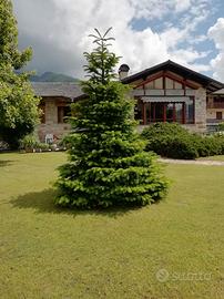 Vacanze primavera estate a levico terme