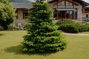 Vacanze primavera estate a levico terme