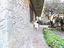 Immagine 22