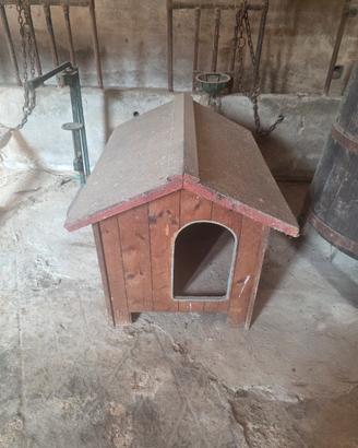 cuccia cane