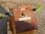 Immagine 3