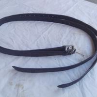 Staffili militari svizzeri