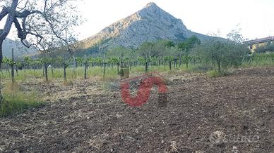 Terreno Agricolo - Foglianise