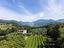 Immagine 22