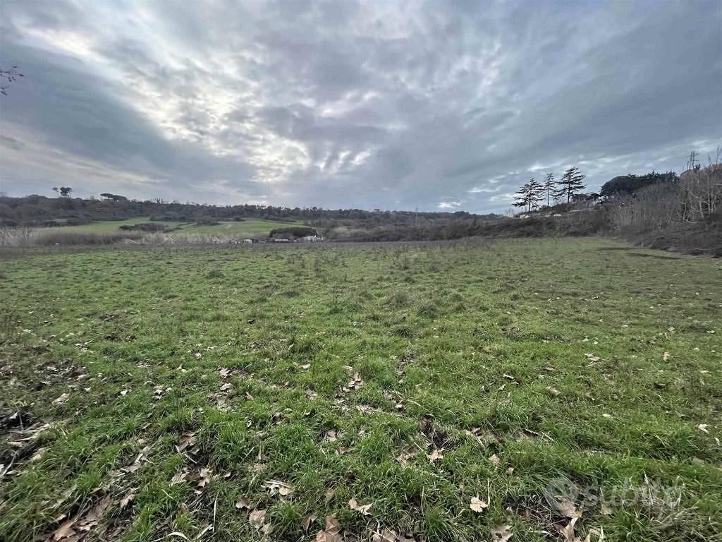 Terreno di 13000 m² a Tuscania - Vista 3
