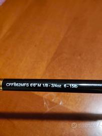 canne daiwa