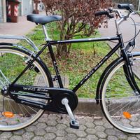 Bici da Uomo 28