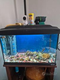 acquario cayman ferplast 75lt.
