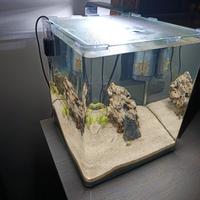 mini reef acquario 