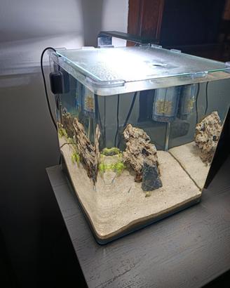 mini reef acquario 