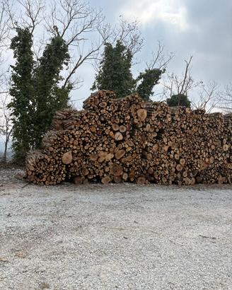 legna da ardere 