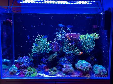 Acquario reef marino completo 325 litri