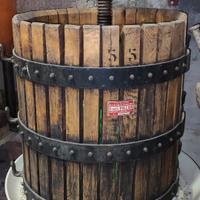 Attrezzatura per fare il vino- Torchio- Pigiatrice