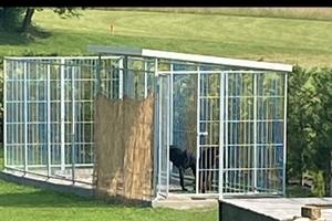 Box per cani da esterno