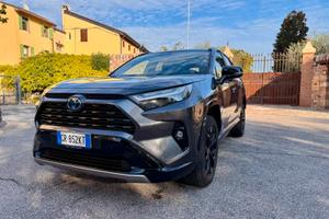 Toyota rav 4 style