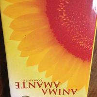 Anima Amante Bevilacqua romanzo