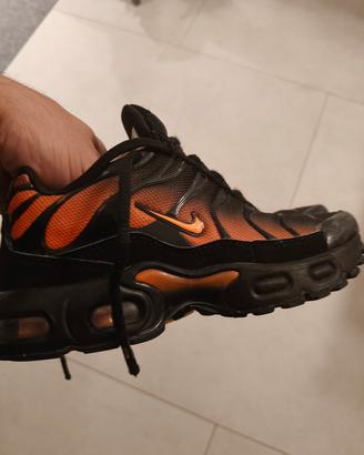 Nike TN squalo 
