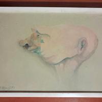  Godwin Ekhart 1971 : L' Uomo maiale. 