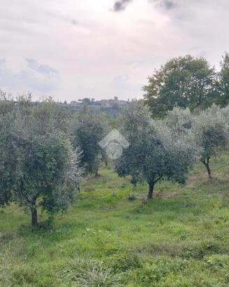 TER. AGRICOLO A PAROLISE