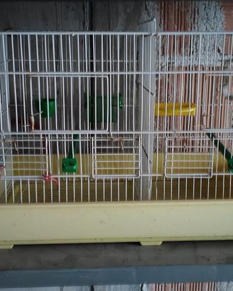 Gabbia da cova per uccelli 