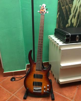 Basso Elettrico 5 corde