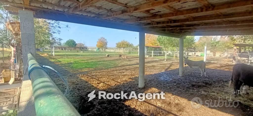 Terreno di 7500 m² a Suardi - Vista 4