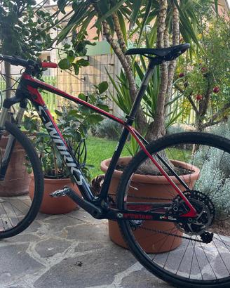 Mtb professionale s -woks