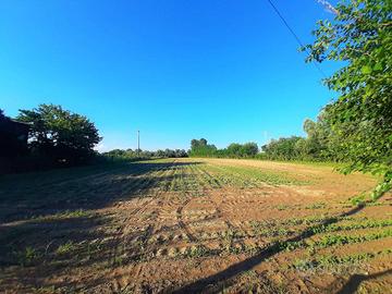 Terreno di 12063 m² a Campodoro