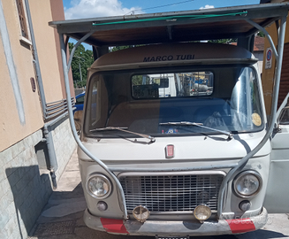 Fiat 238 pasino